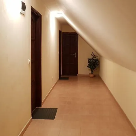 Foczeny Pince Es Vendeghaz Guest house