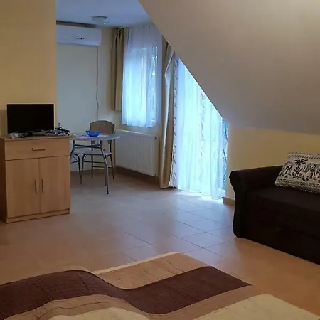Guest house Foczeny Pince Es Vendeghaz *