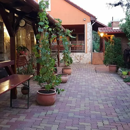 Guest house Foczeny Pince Es Vendeghaz
