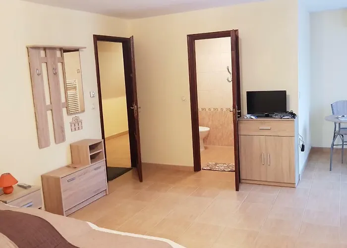 Guest house Foczeny Pince Es Vendeghaz