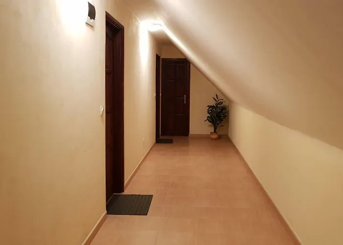 Foczeny Pince Es Vendeghaz Guest house