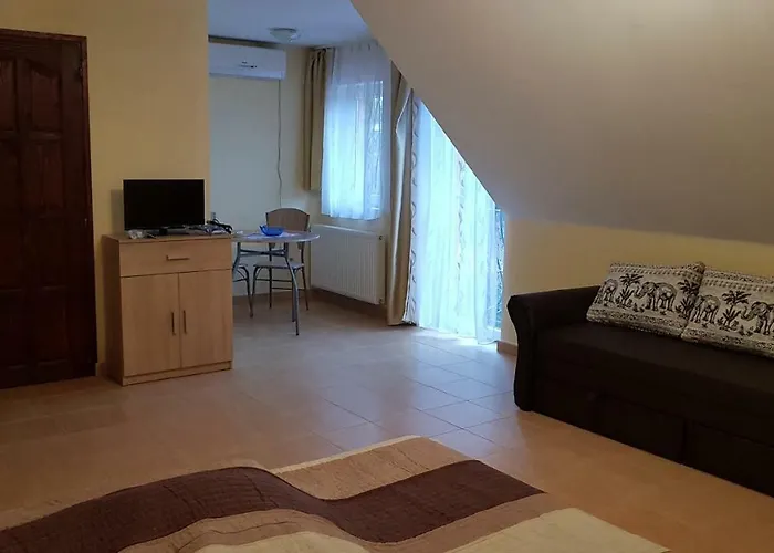 Guest house Foczeny Pince Es Vendeghaz 3*