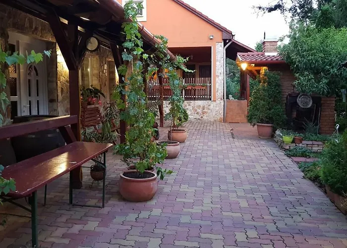 Guest house Foczeny Pince Es Vendeghaz